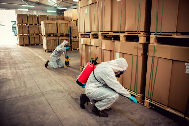 Best Ant Control Services  in Pine Ridge At Crestwood, NJ