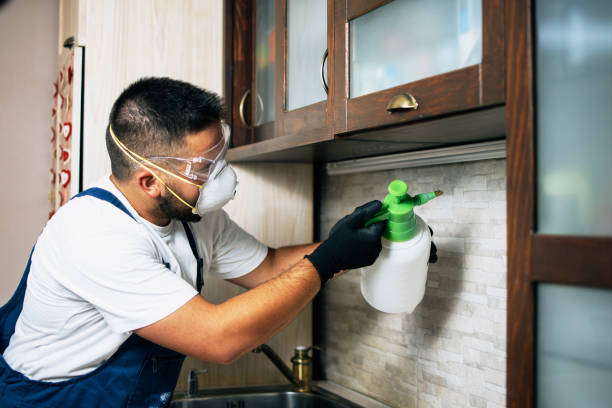 Best Pest Control Near Me  in Pine Ridge At Crestwood, NJ