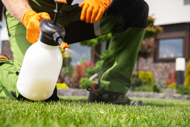 Best Affordable Pest Control Services  in Pine Ridge At Crestwood, NJ
