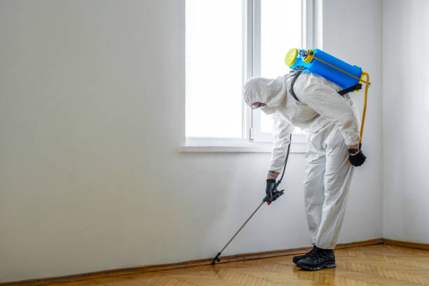 Best Wasp Removal Services  in Pine Ridge At Crestwood, NJ