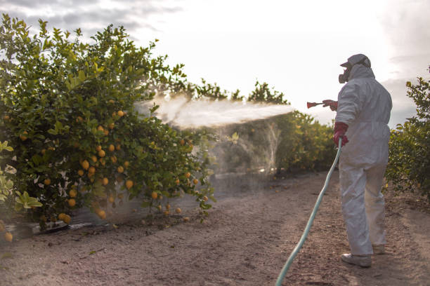 Wasp Removal Services in Pine Ridge At Crestwood, NJ