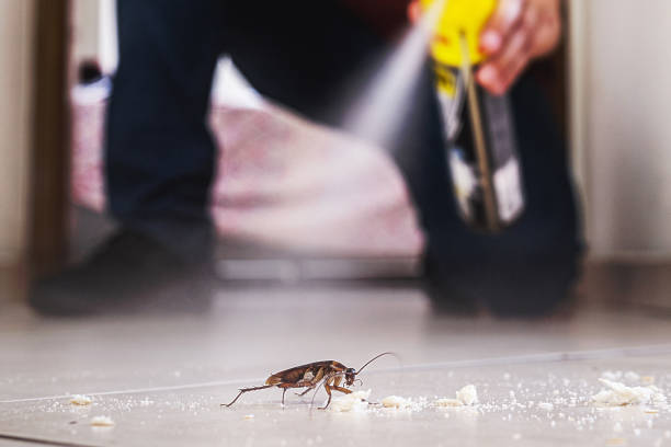 Best Termite Control Services  in Pine Ridge At Crestwood, NJ