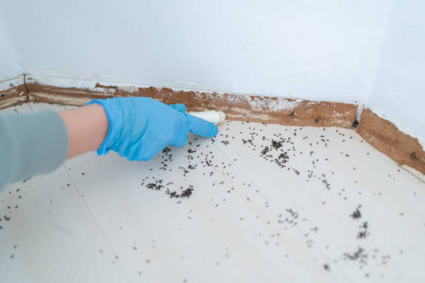 Best Cockroach Control Services  in Pine Ridge At Crestwood, NJ